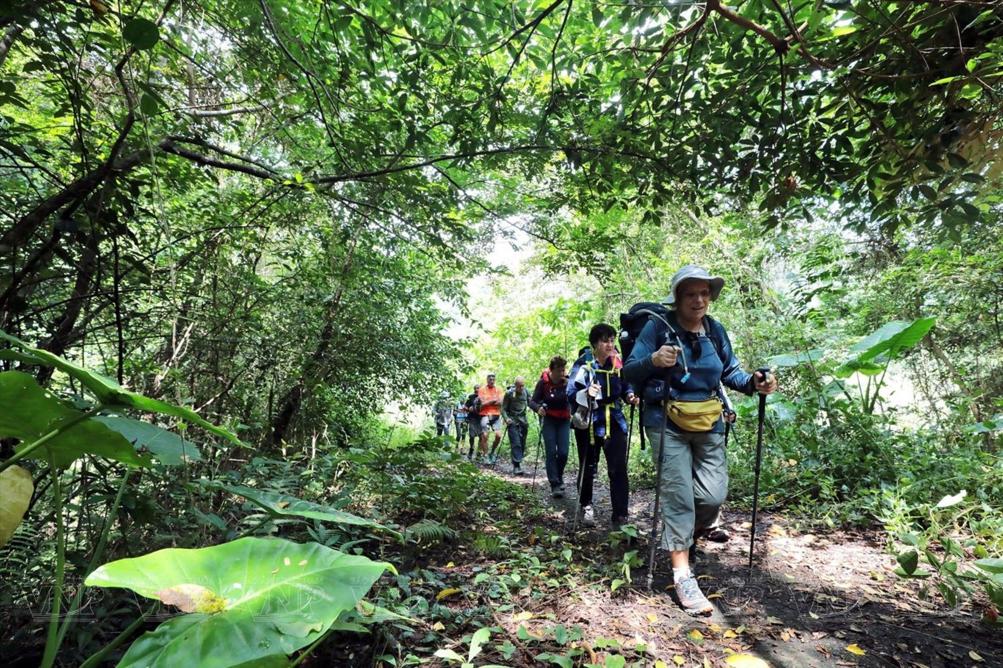 Homestay Tran Chau Garden *