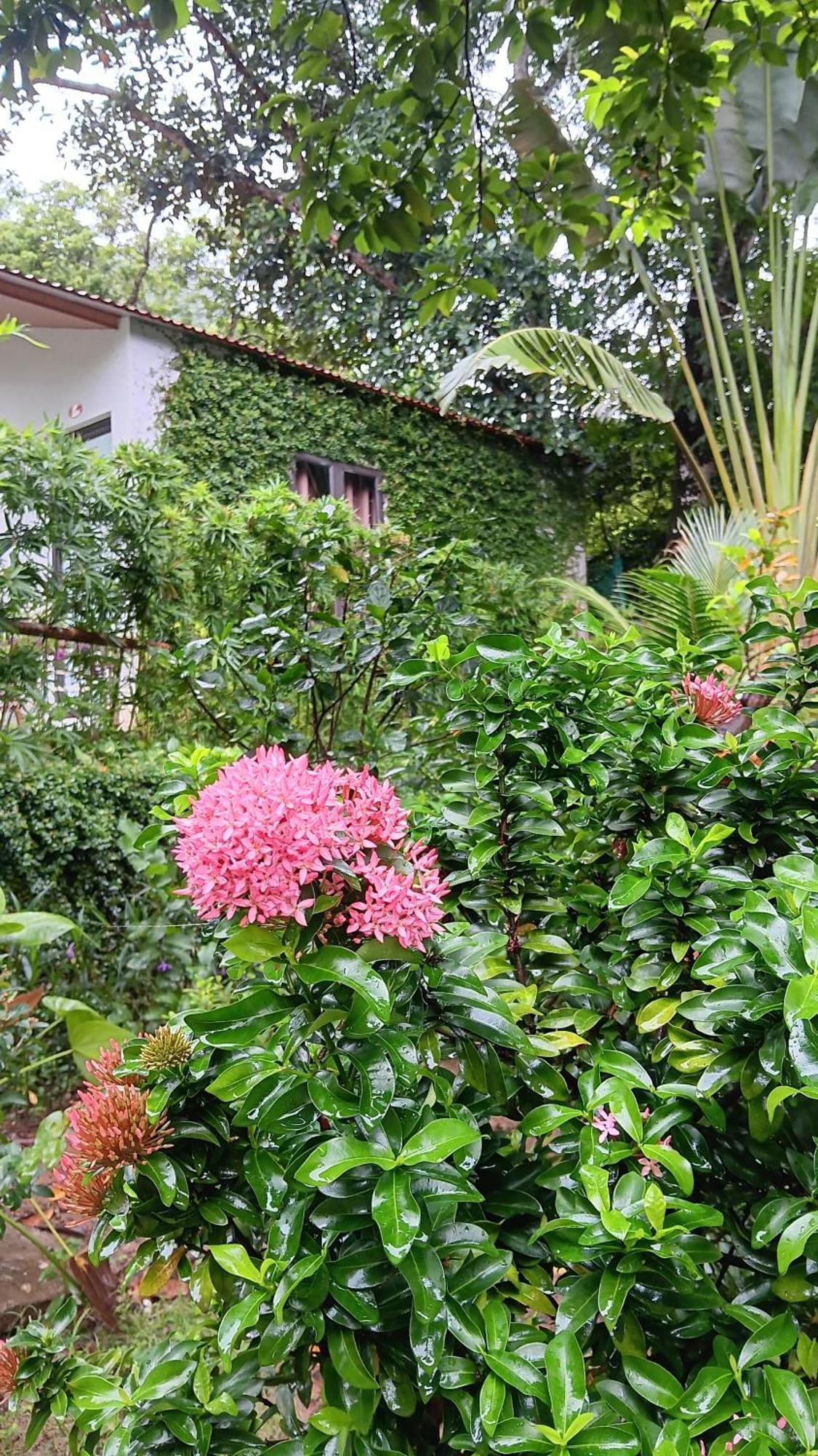Homestay Tran Chau Garden Xuan Dam
