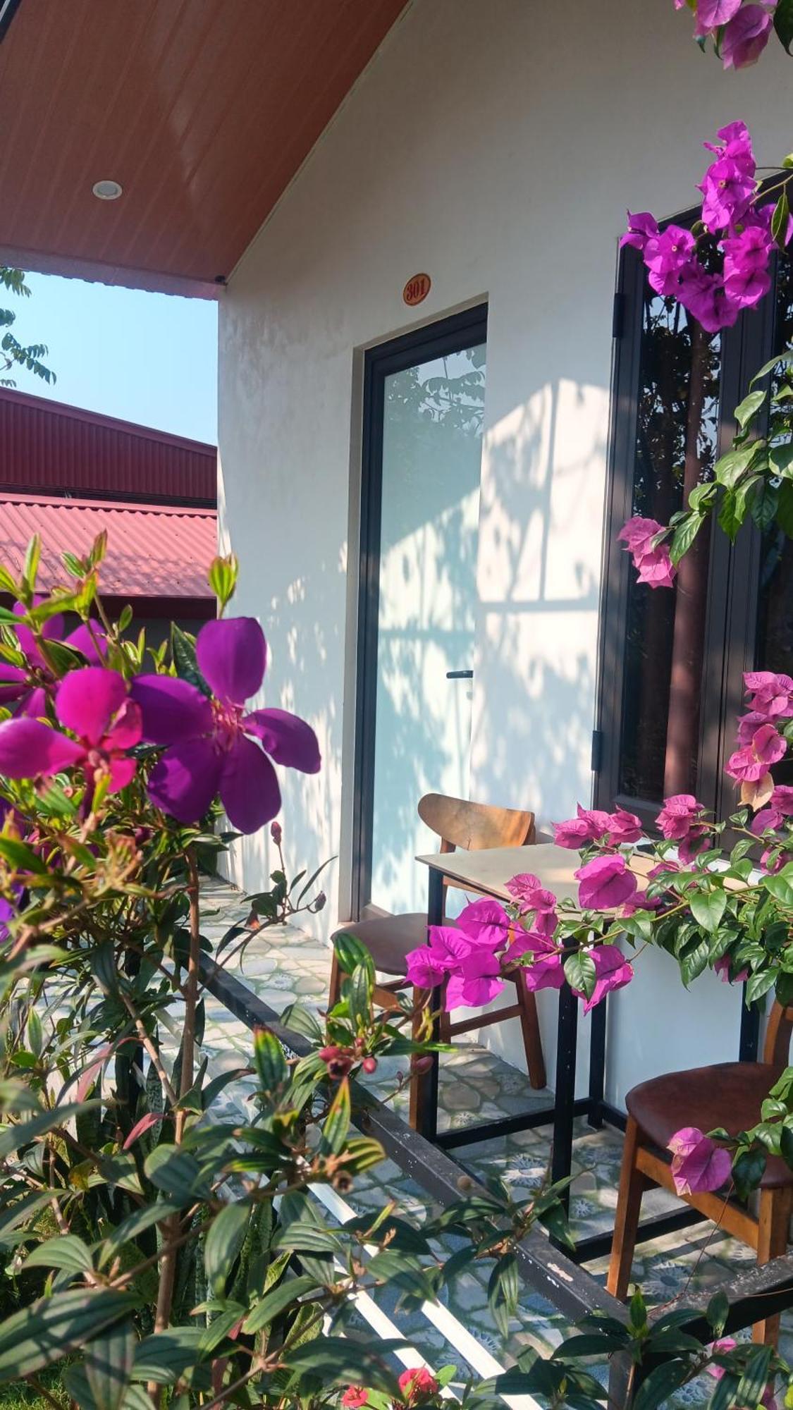 Homestay Tran Chau Garden